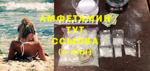 крисы Алзамай